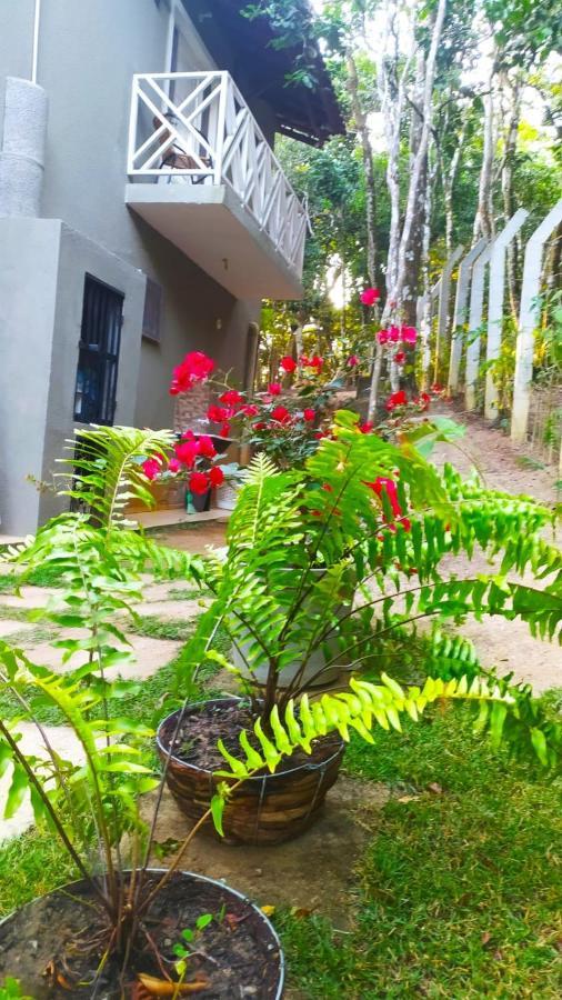 Vila Mulungu Casa Esterno foto